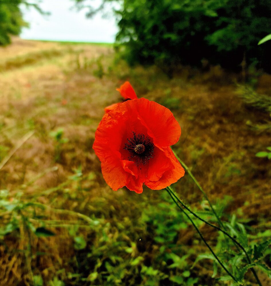 Photograph by Сергей Мамалюк