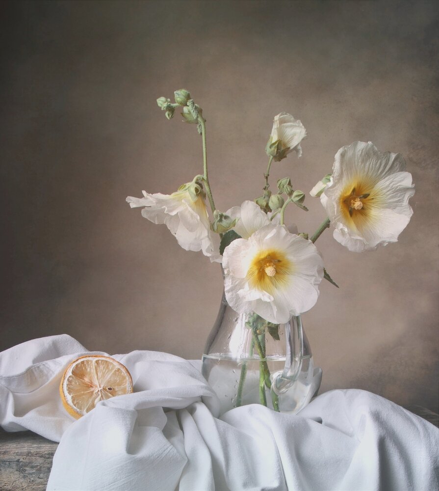 Photograph by Валентина Евсеева