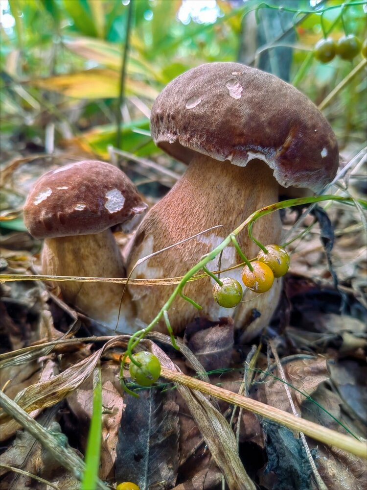 Photograph by Мария Самохвалова