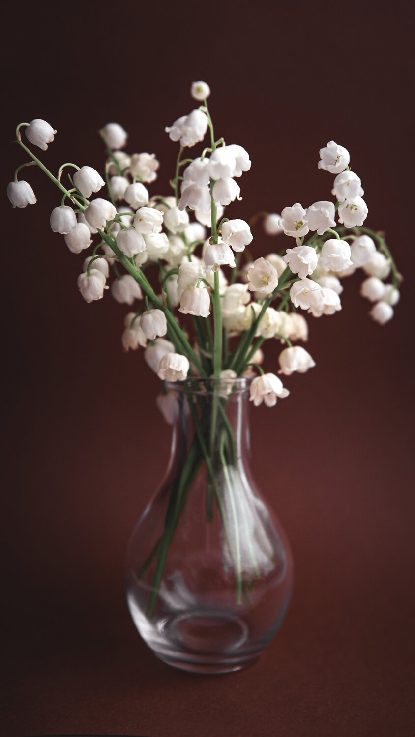 Photo #13916474