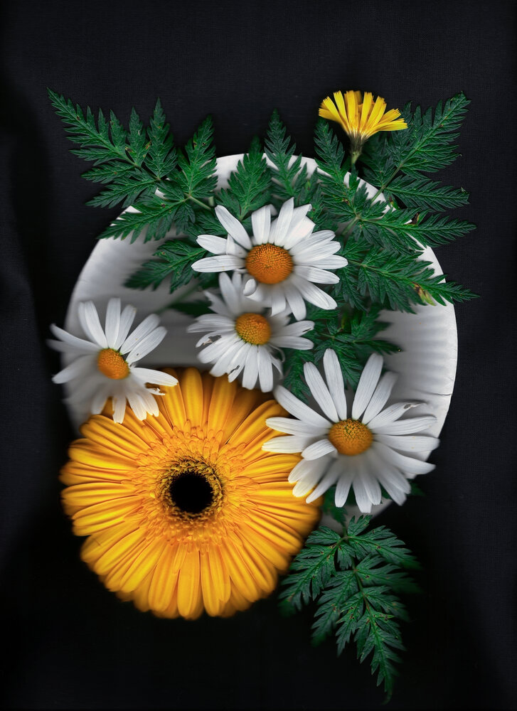 Photograph by Olga Akhmetova