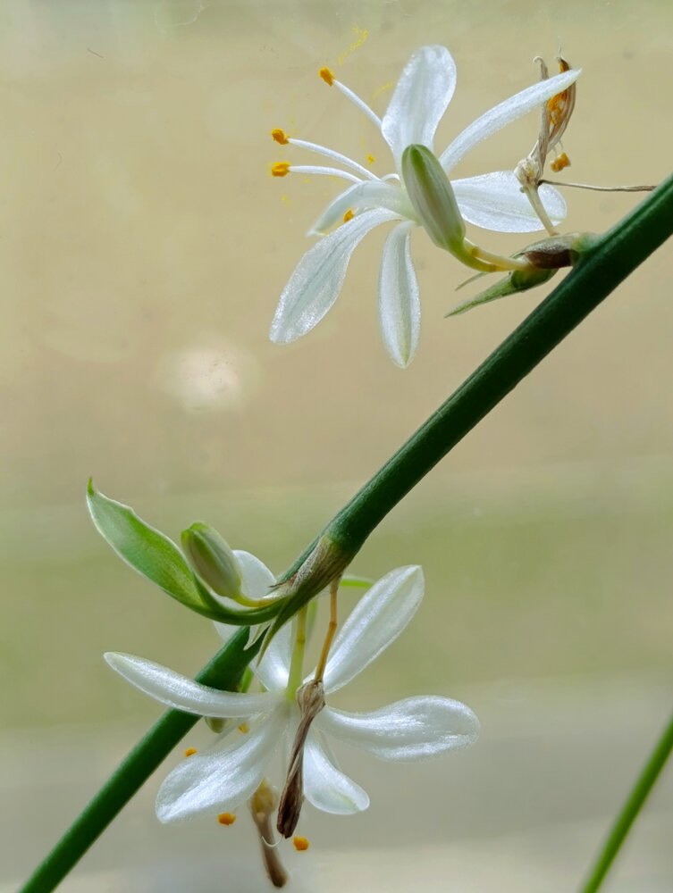 Photograph by Алена Марченко