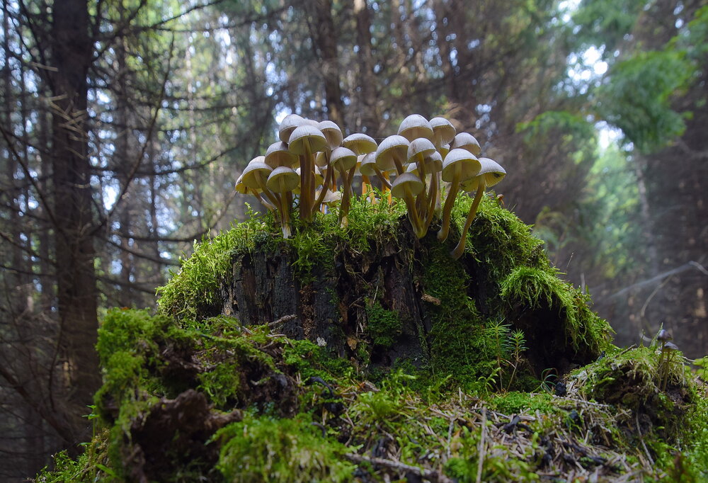 Photograph by Василий Быстрицкий