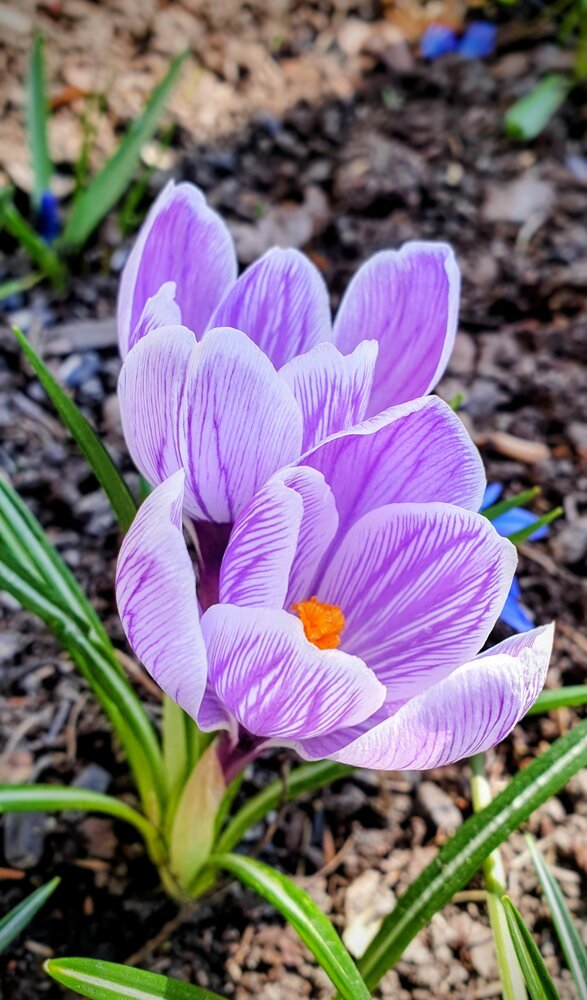 Photograph by Надежда Кудрявцева