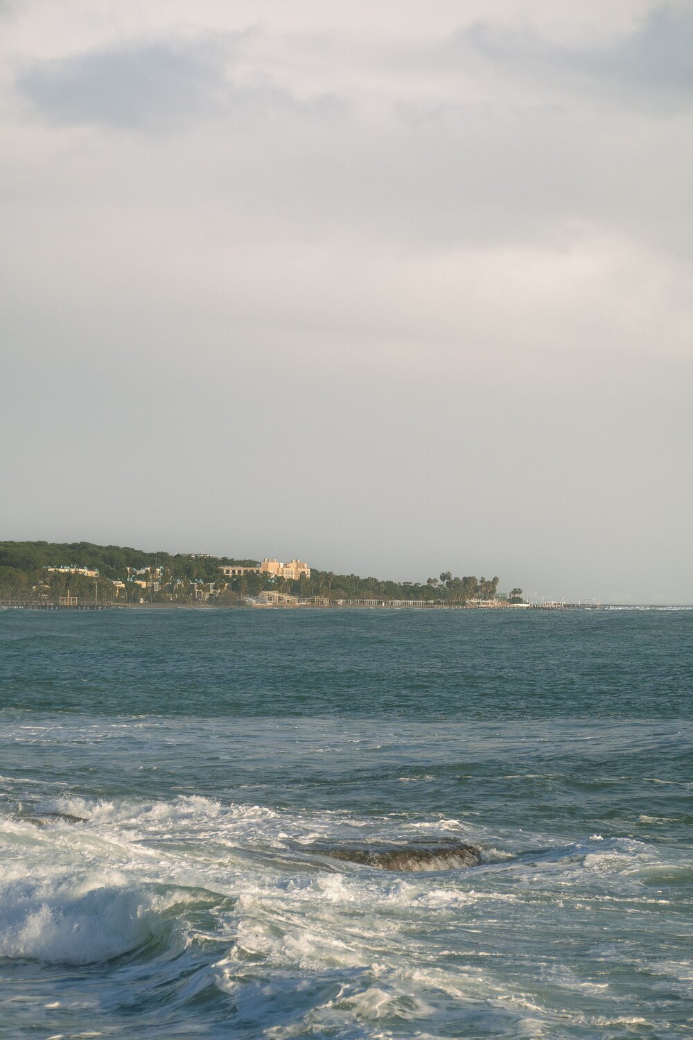 Photo #13916604