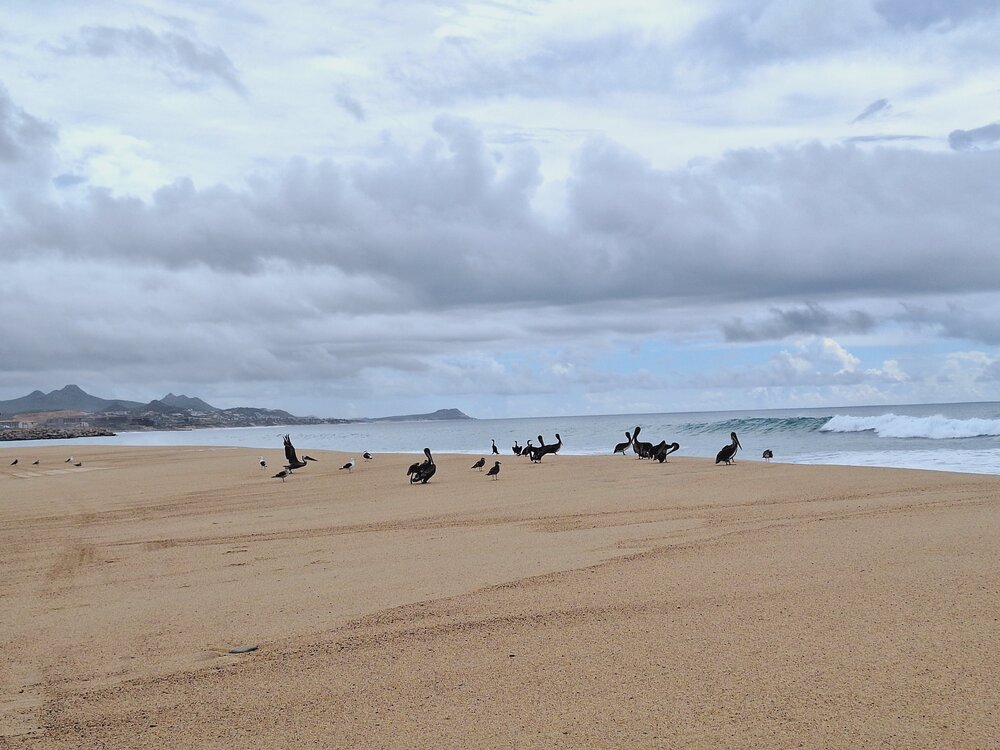 Photograph by Diego Cesar Monroy Chaparro
