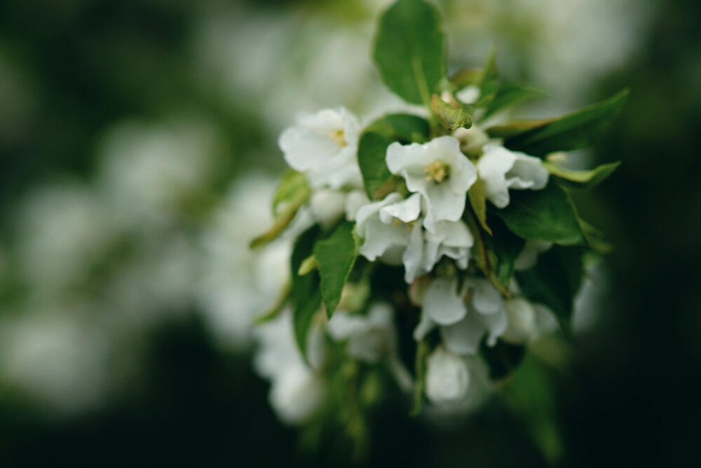 Photograph by Снежана Грачёва