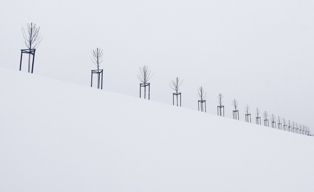 Photograph by Сергей Григорьев
