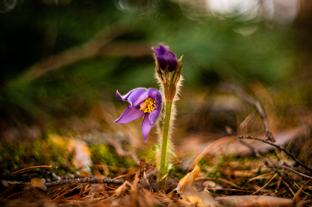 Photograph by Павел Соснин