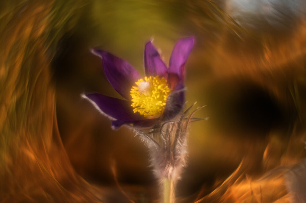 Photograph by Павел Соснин