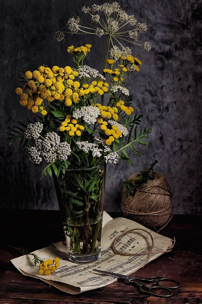 Photograph by Светлана Васильева