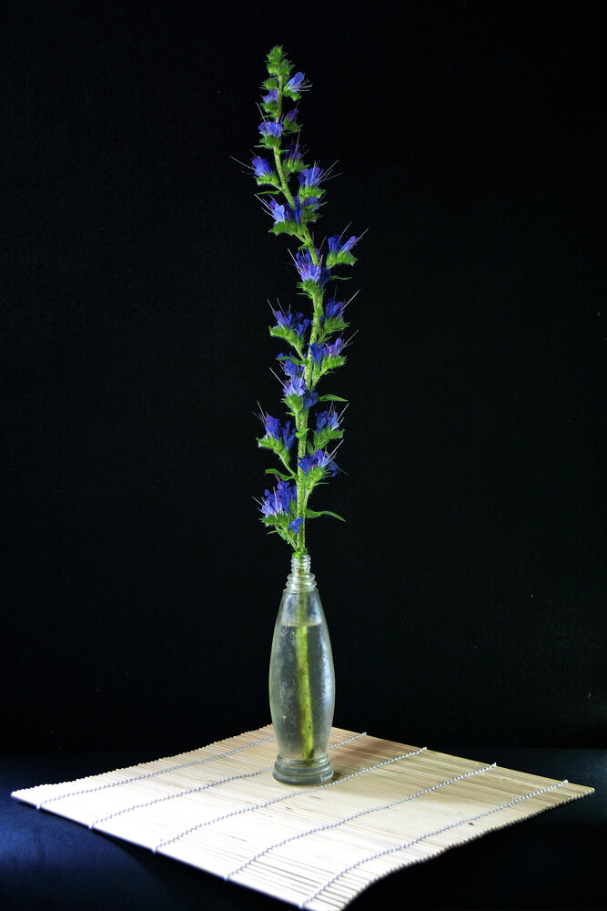 Photograph by Vitaliy Saposhnikov