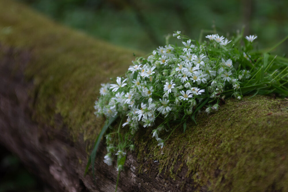 Photograph by Юлия Савич