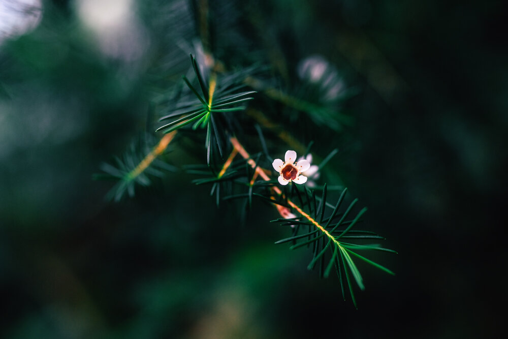 Photograph by Den Soloviev