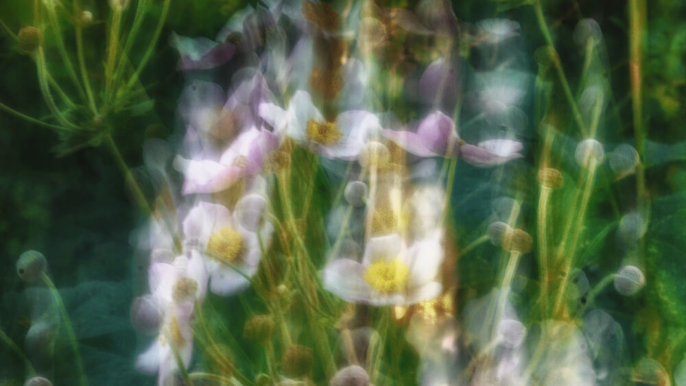 Photograph by Юлия Савич
