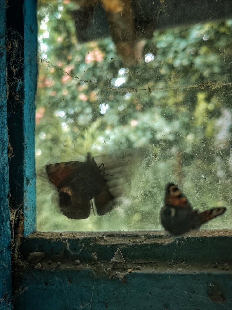 Photograph by Мария Самохвалова