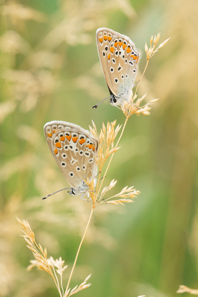 Photograph by Ольга Таланцева