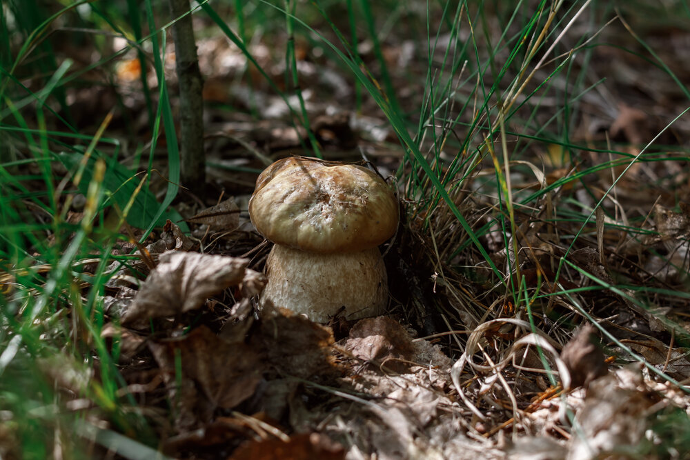Photograph by Ольга Осинина