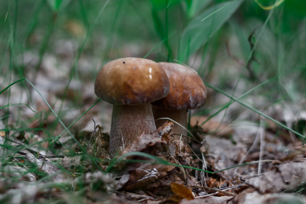 Photograph by Ольга Осинина