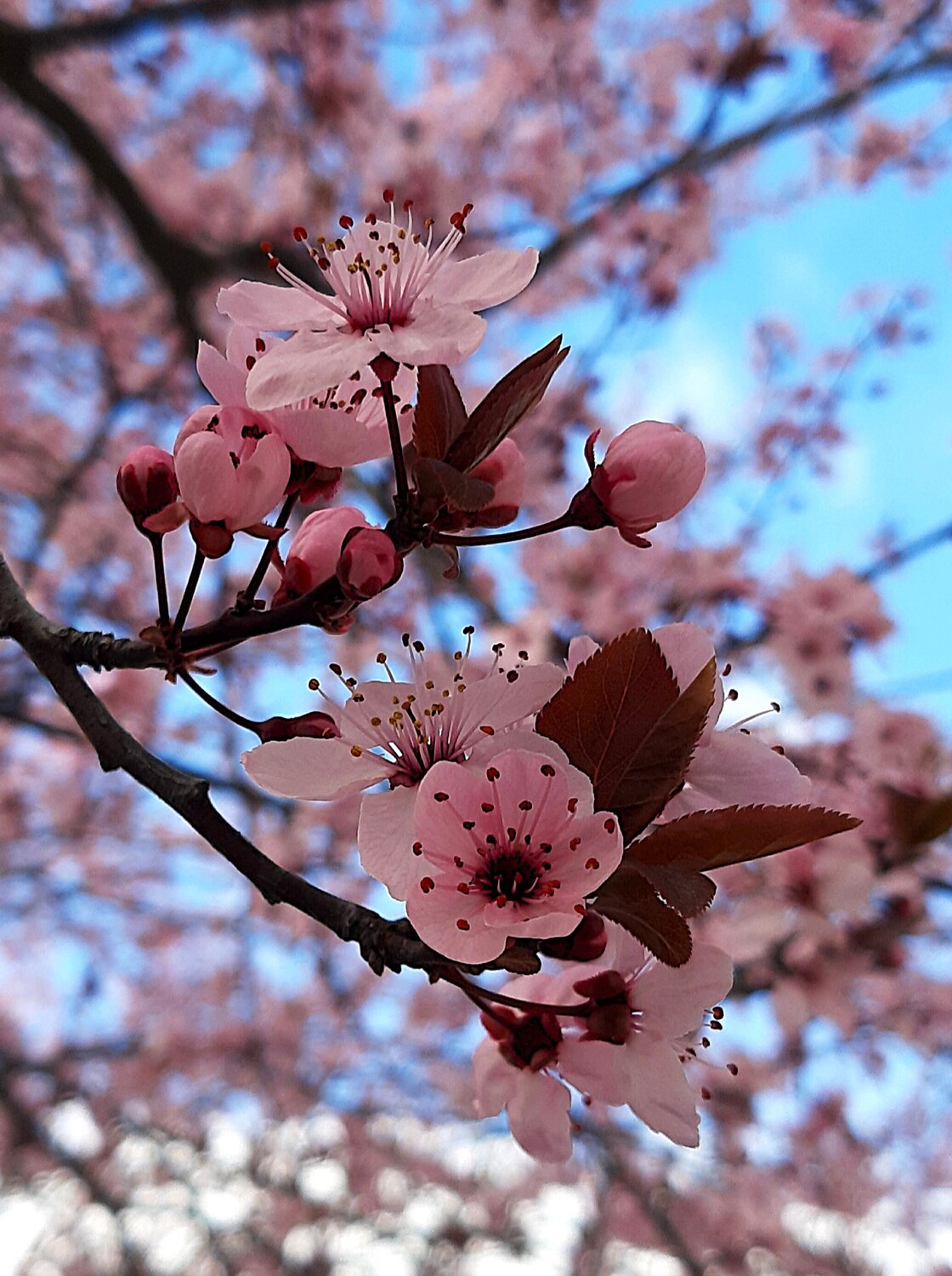 Photo #13916953
