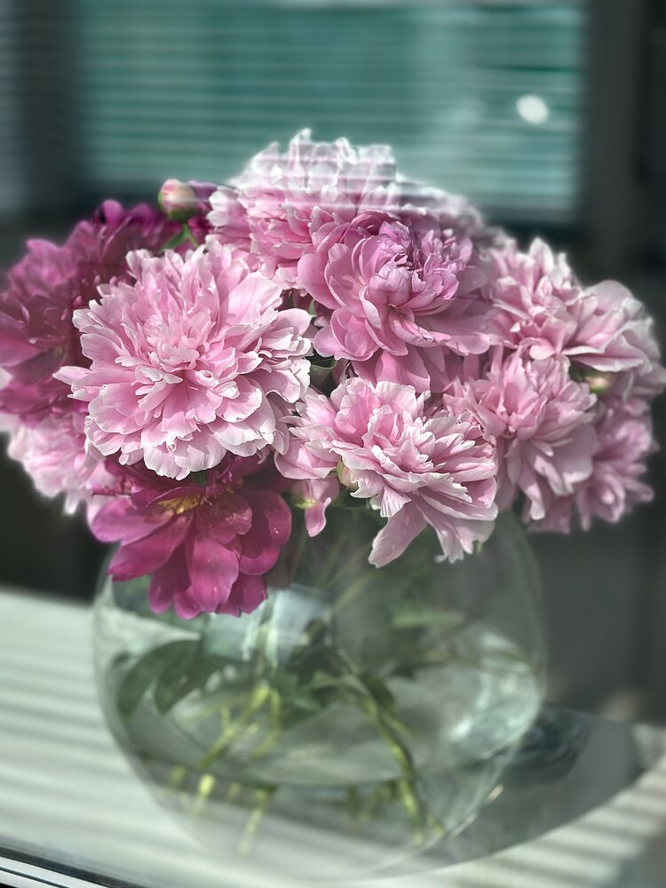 Photograph by Снежана Грачёва