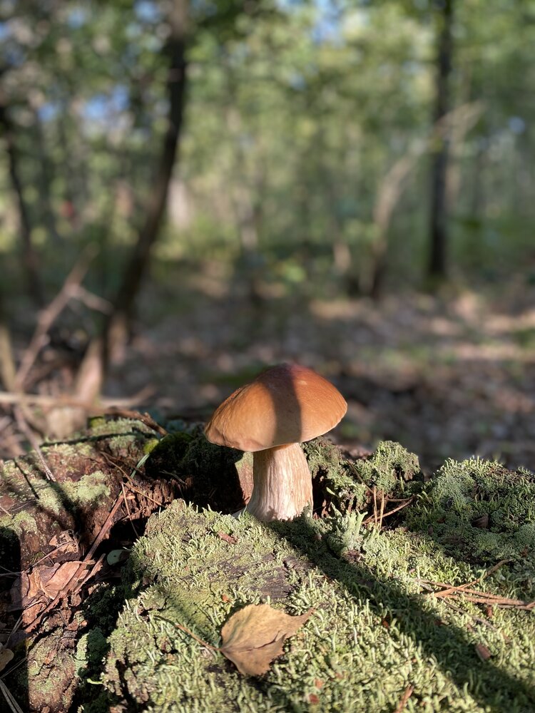 Photograph by Светлана Герасимук