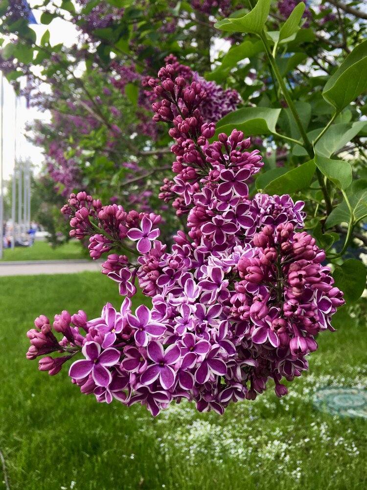 Фотография автора Нина Фролова
