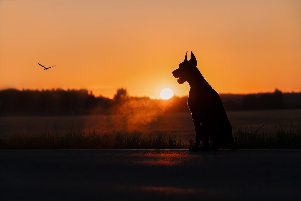 Photograph by Мария Клещенко