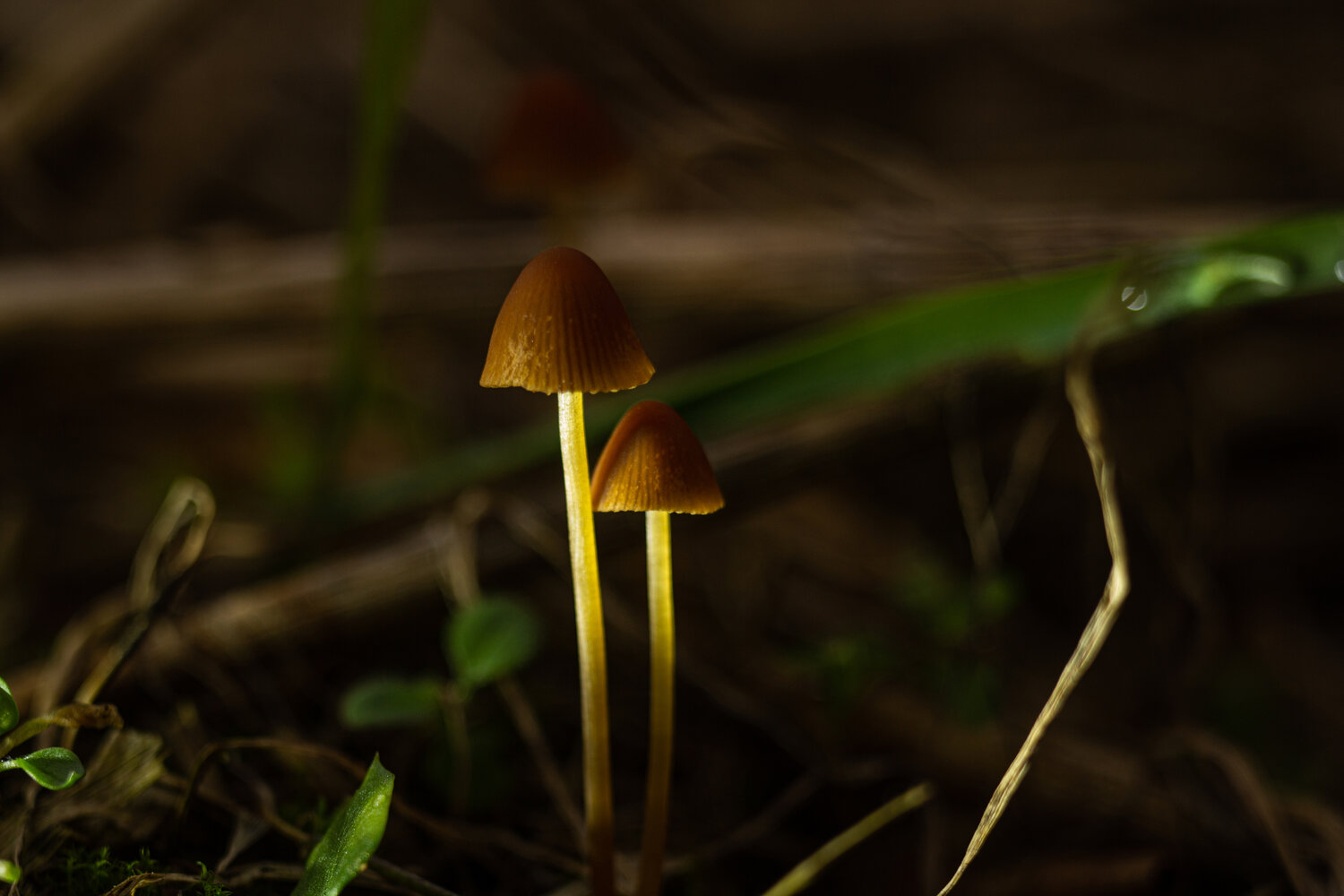 Photo #13916993