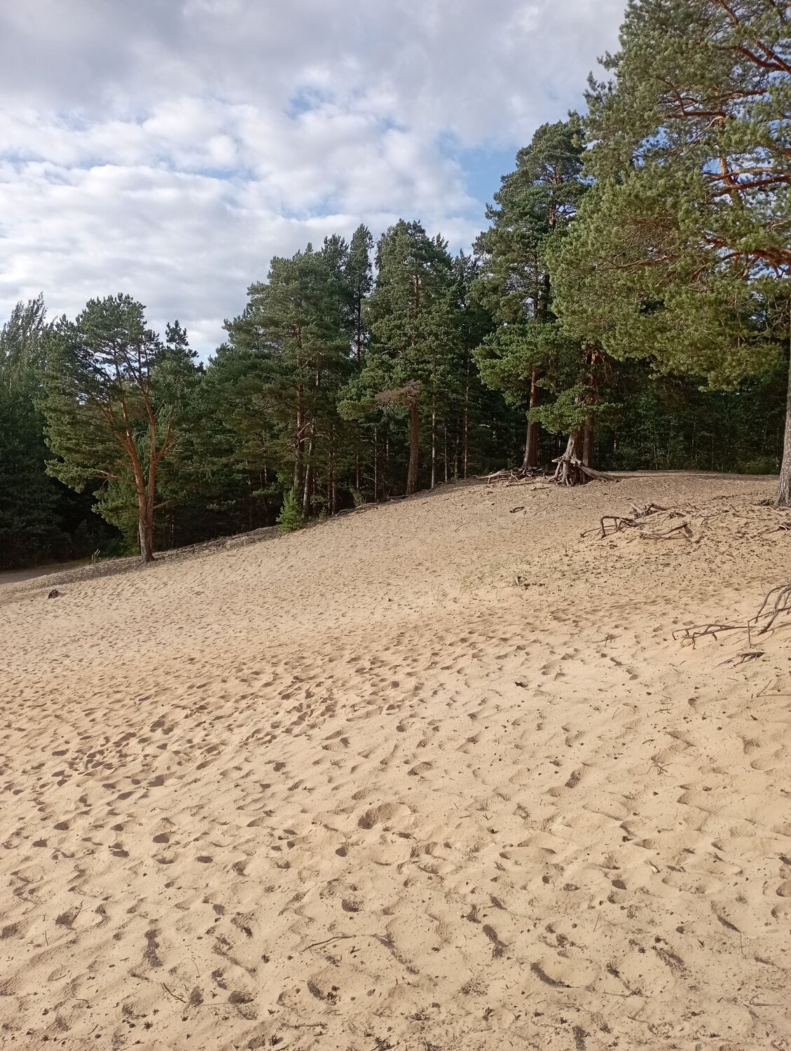 Photo #13917010