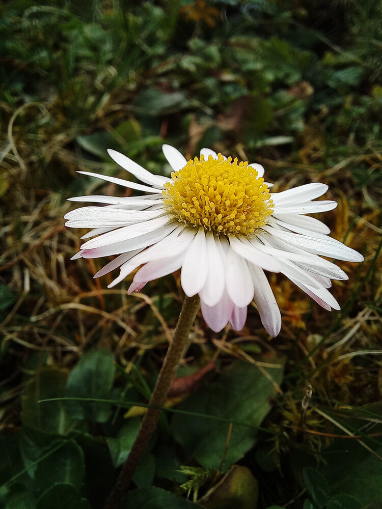 Photograph by Irina Vorobeva