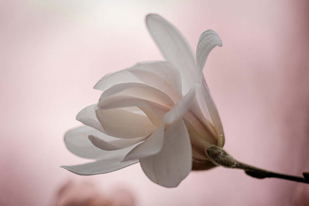 Photograph by VictОr