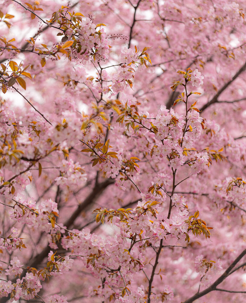Photograph by VictОr