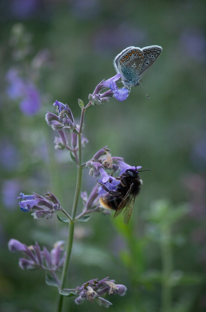 Photograph by Виктория Трущенко