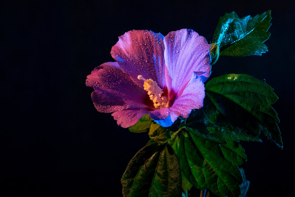 Photograph by Евгений Андреев
