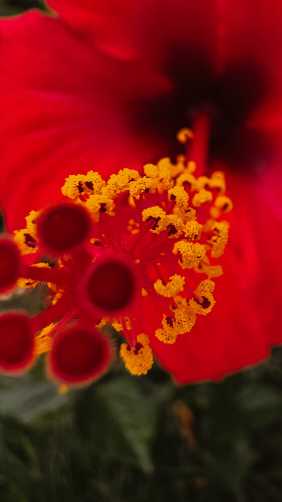 Photograph by Uliana Volegova