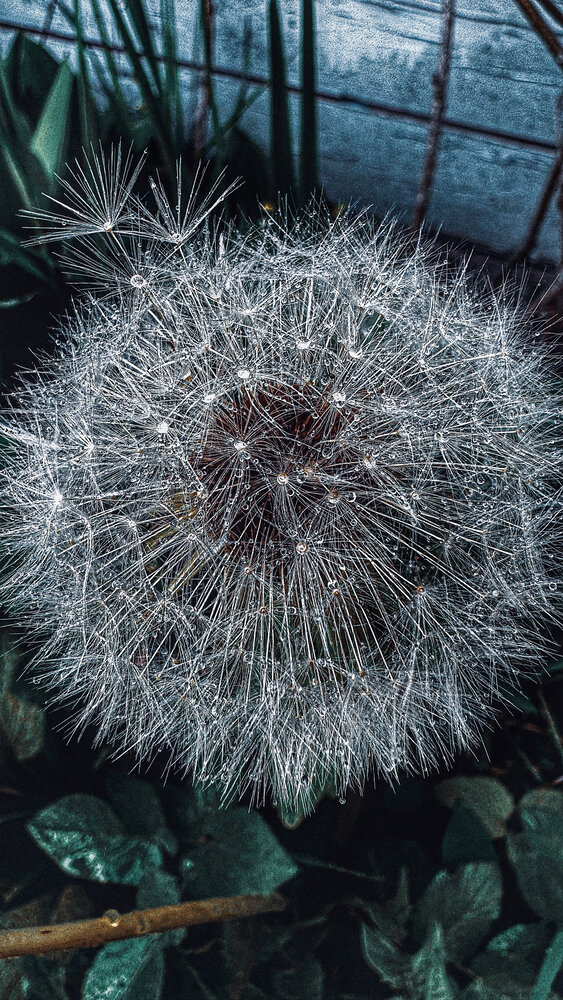 Фотография автора Дарья Бойкова