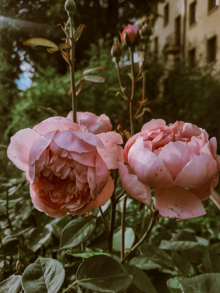 Photograph by Екатерина Народицкая