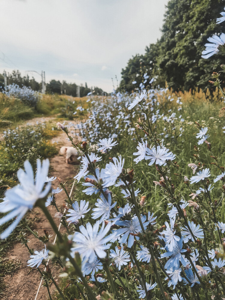 Photograph by Екатерина Народицкая