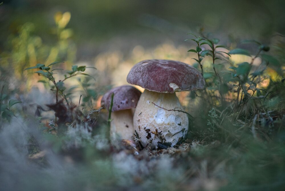 Photograph by Анастасия