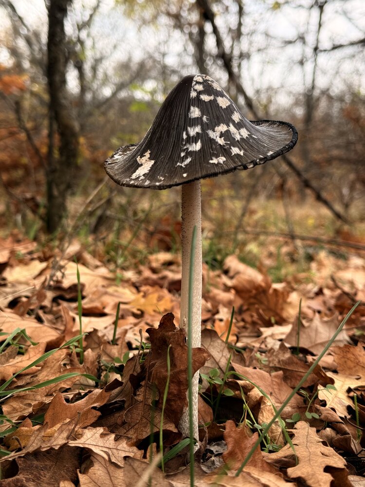 Photograph by Tanya Baydanova