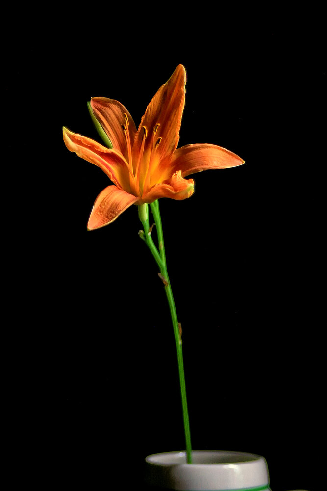 Photograph by Vitaliy Saposhnikov