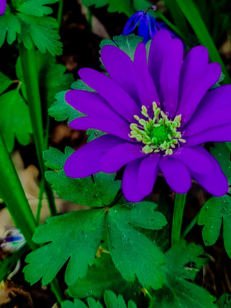 Photograph by Екатерина Народицкая