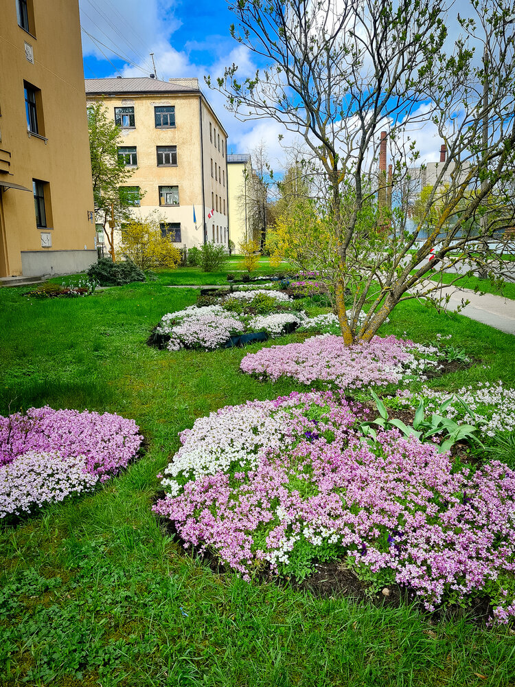 Photograph by Екатерина Народицкая