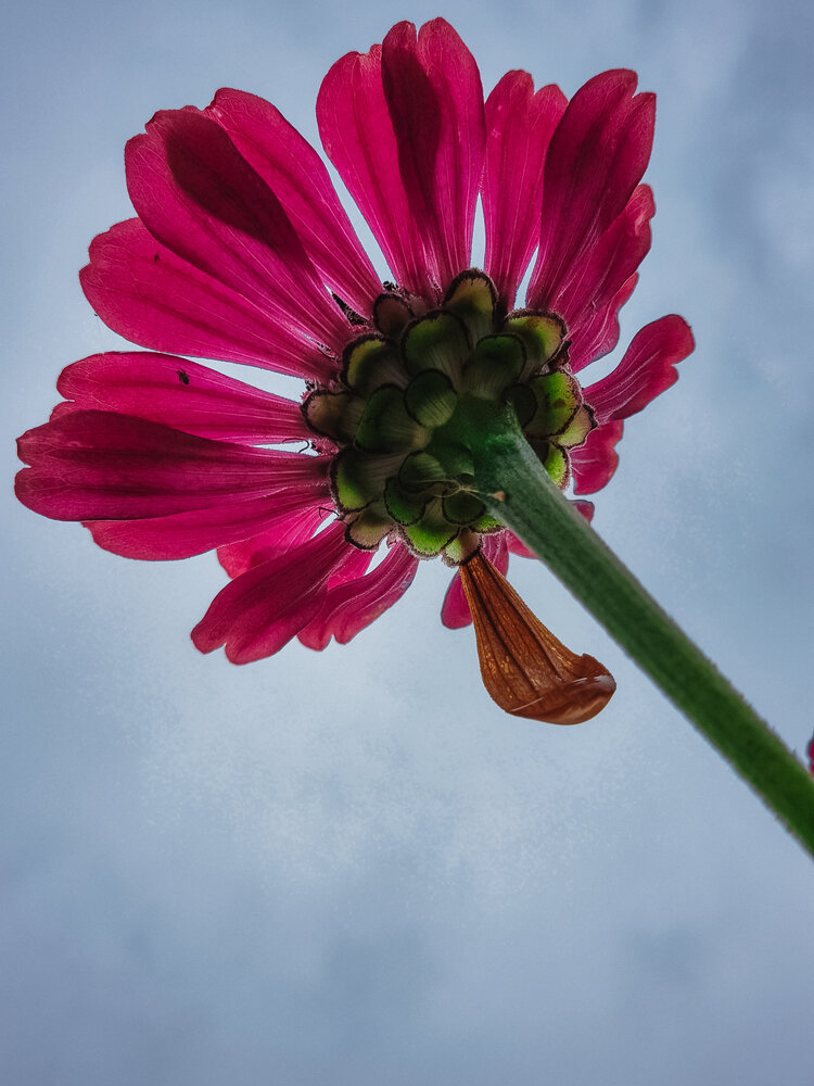 Photograph by Grushko Valeriya