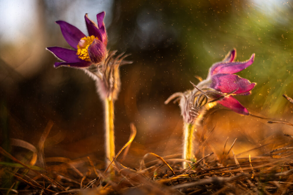 Photograph by Павел Соснин