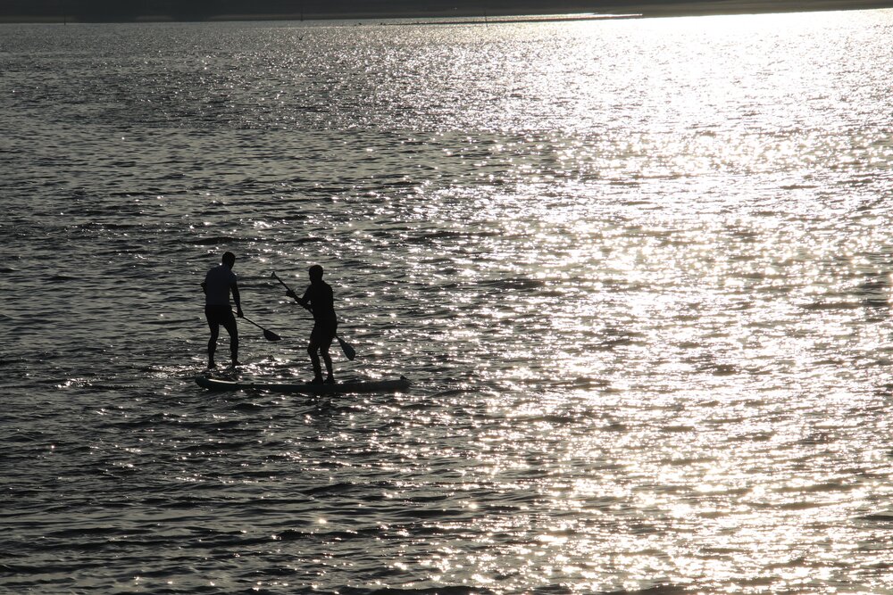 Silhouettes