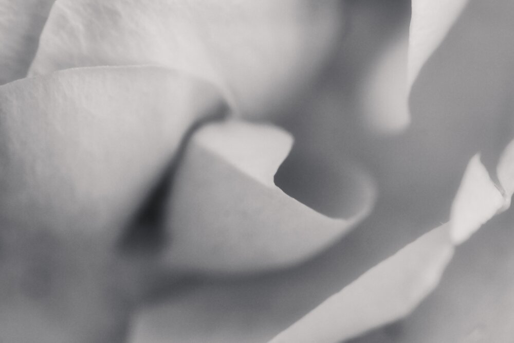 Photograph by Олег Мусин