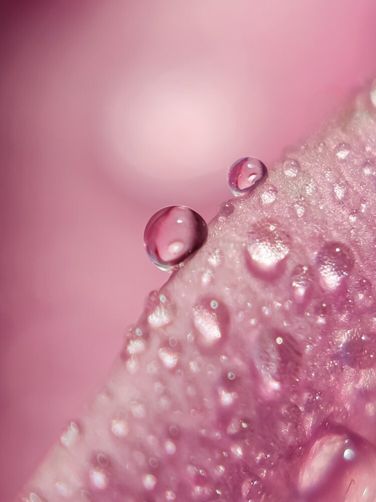 Photograph by Екатерина Сенько