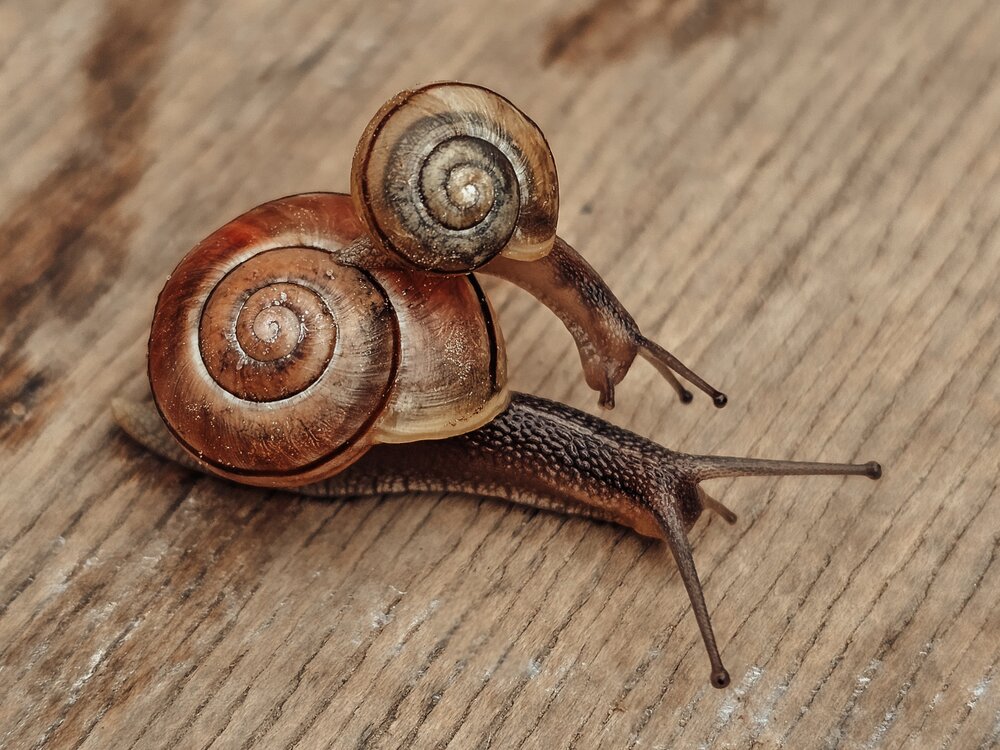 Photograph by Екатерина Сенько